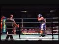 白色衣领拳击约克霍尔・伦敦19.09.05