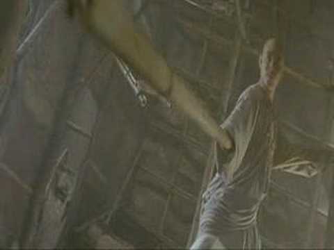 jet li double staff