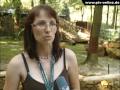 Bild 2 aus dem Beitrag