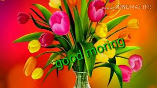 WhatsApp Status Video 2017.., Herth Teach Love Failur Best Super Scenes Video
