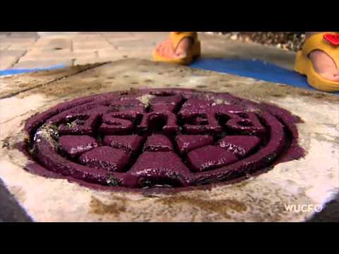 WUCF-TV Artisode # 108 Features Bobbi Mastrangelo's Grate Works of Art