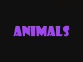 videos editados