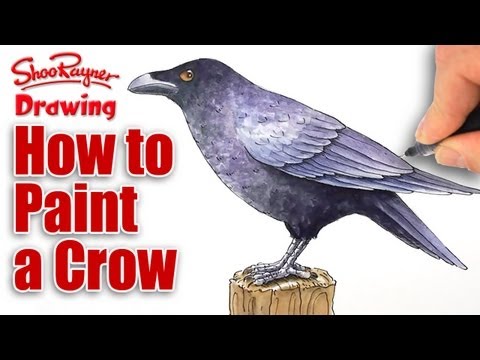 How to Paint a Crow in Watercolour