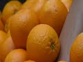 De Groenteboer, lekker fruit voor een lekker lijf!