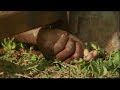 Ethnic violence engulfs town of Naivasha - 28 Jan 08