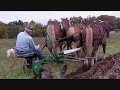 Fred Wolfer Sr. of Centerville NY plowing with our three up, of Belgian Horses last fall. Dad is now 80 years old and still going strong. Training a team of Belgian Horses at his farm, this time. He keeps going and can still out work any young person that wants to try a hand at splitting wood to throwing hay bales. He has taught many to drive and work with draft horses through the years. He can quote scripture and his neighbors say he is a wonderful man. A Great Grandfather too..We are proud of our Dad and look forward to the years he has ahead.. We love you Dad