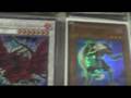 MY NEW UPDATER TRADE BINDER NOV 19