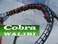Walibi belgie Cobra Onride