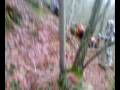 videos de ENDURO GROSSETO 