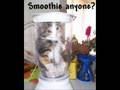 Caturday II