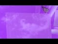 Absolutely fabulous classical sleep music of love and free mp4 download Absolutely fabulous classical sleep music of love and free mp4 download