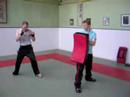 Back Leg Roundhouse
