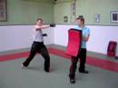 Back Leg Roundhouse