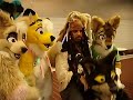 AC08: Misc: Jack Sparrow meets the furries.