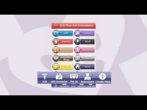 Youtube video for App