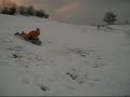 henningpresenninghopperogtarsalto henningpresenninghopperogtarsalto