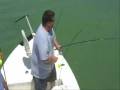 Snook Fishing in the Florida Keys