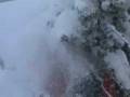 videos de Wintergrüsse vom Ferienhaus Sanaspans