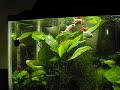 DSCN3132 DSCN3132