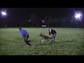 Preview video <strong>Velsa di oroval  Giugno 2011</strong>