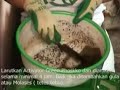 Gadis Bandung Membuat Kompos