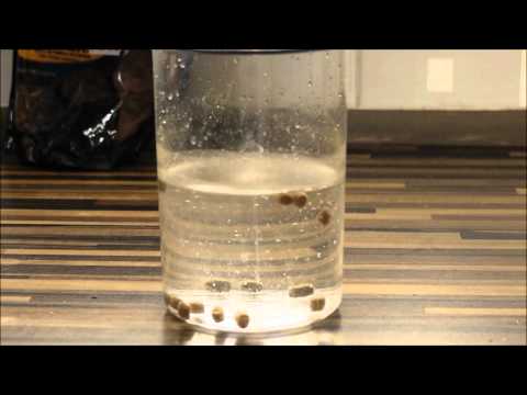 how to make expander pellets sink