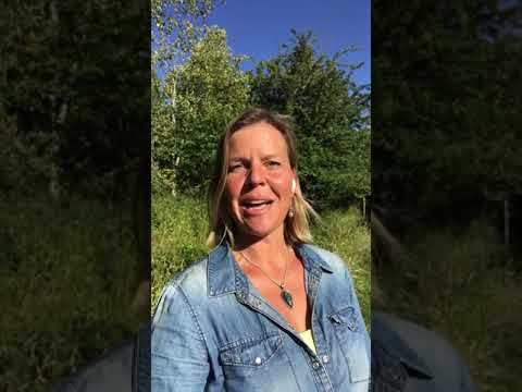 Online and Outdoor Therapy with Lara Just (www.adadsu.com)