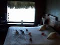 Intercontinental Le Moana Bora Bora Overwater Bungalow