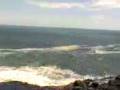 videos de Piha rocks for big fish! Only safe place of Piha beach  In Auckland NZ