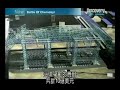 Chernobyl disaster (Ukraine 1986) part 10 of 10