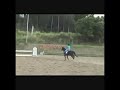 Equestrian Horseback Riding in Puerto Rico Equestrian Horseback Riding in Puerto Rico
