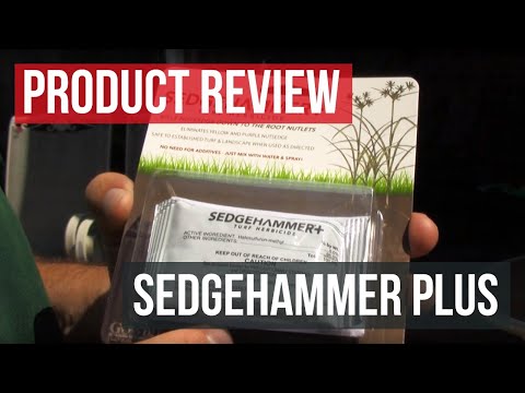 how to control purple nutsedge