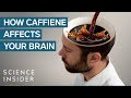 What Caffeine Does To Your Brain