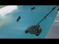 TONDEUSE A SANARY.MP4