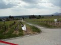 Rallye Alsace-Vosges 2009,  Sp&eacute;ciale de Blienschwiller-Epfig