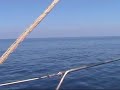 Progetto AlphaDEL: escursioni isole Eolie \"dolphin watching\" Progetto AlphaDEL: escursioni isole Eolie \"dolphin watching\"