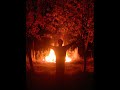 Burn Babylon, Burning Version Sylford Walker