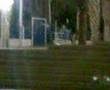 Jackass In Be`er sheva 2