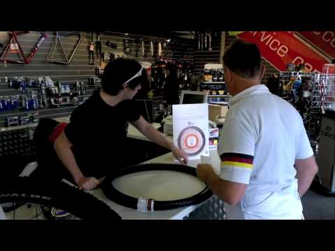 chain reaction cycles