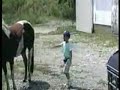 Pferde kick