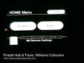 pinball hall of fame: williams collection  wii 
