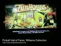 pinball hall of fame: williams collection  wii 