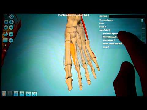 Anatronica Pro Free Download For Android