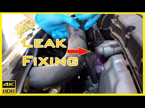 video-linktoworks-Coolant Hose Leaks