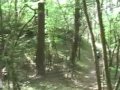 buzet-pinguentina-2007.html