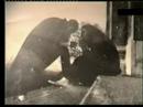 FILMS FROM GYOR - IN MEMORIAM KAPOSI TAM�S 3