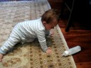 Willem 07/24/08