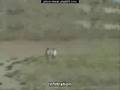 Trailer 5 VL (Version Longue) VOSTFR Prison Break saison 4