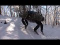 BigDog Evolution