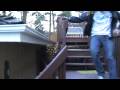 videos de Teddy Action - Sneak Peek